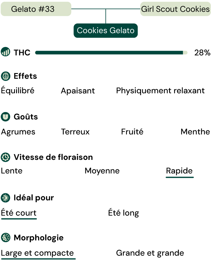 Cookies Gelato Key Attributes