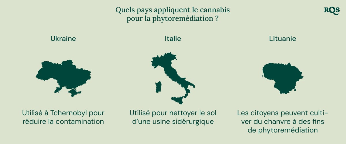 Infographie des pays utilisant le cannabis pour la phytoremédiation : Ukraine (Tchernobyl), Italie (usine sidérurgique) et Lituanie (culture de chanvre).