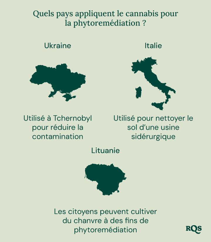 Infographie des pays utilisant le cannabis pour la phytoremédiation : Ukraine (Tchernobyl), Italie (usine sidérurgique) et Lituanie (culture de chanvre).