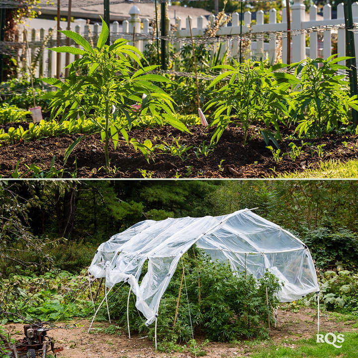 Deux images : À gauche, de jeunes plantes dans un jardin, et à droite, un jardin avec un filet de protection.