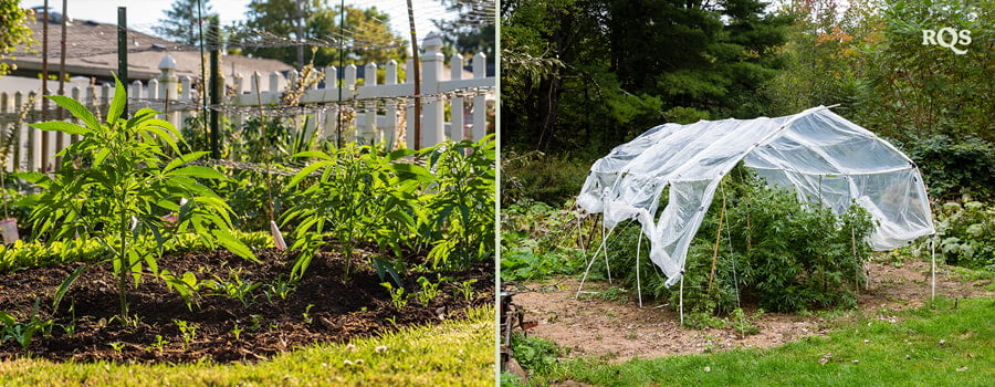 Deux images : À gauche, de jeunes plantes dans un jardin, et à droite, un jardin avec un filet de protection.