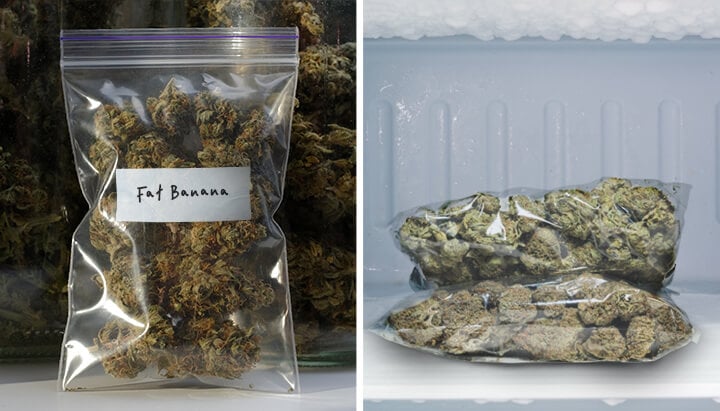 Deux images montrant le stockage du cannabis. À gauche, un sac transparent étiqueté 