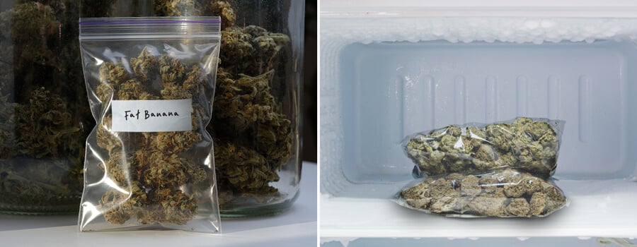 Deux images montrant le stockage du cannabis. À gauche, un sac transparent étiqueté 