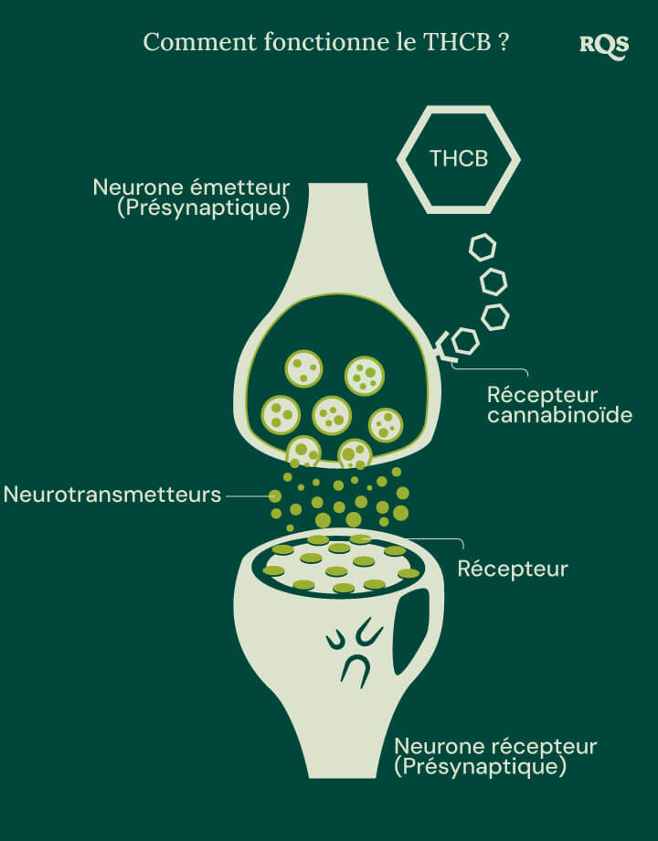 How does THCB work