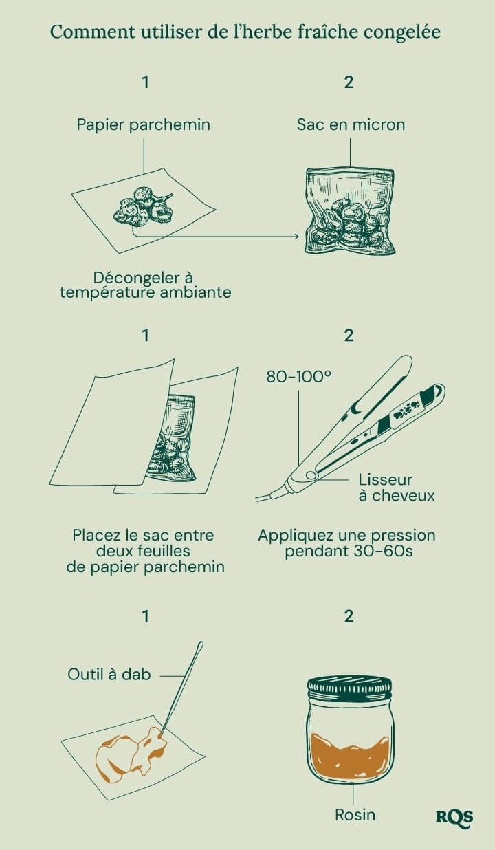 Guide illustré montrant comment utiliser du cannabis frais congelé pour l'extraction de rosin. Les étapes incluent le décongélation sur du papier sulfurisé, la mise dans un sac micron, l'utilisation d'un lisseur à 80-100°C pendant 30-60 secondes, et la collecte de rosin avec un outil à dab.