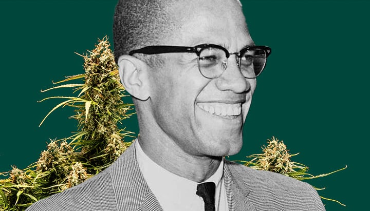 Un portrait détaillé de Malcolm X sur un fond vert profond, encadré par des plantes de cannabis luxuriantes avec des bourgeons épais et résineux.