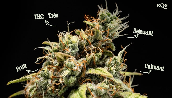 Trichomes