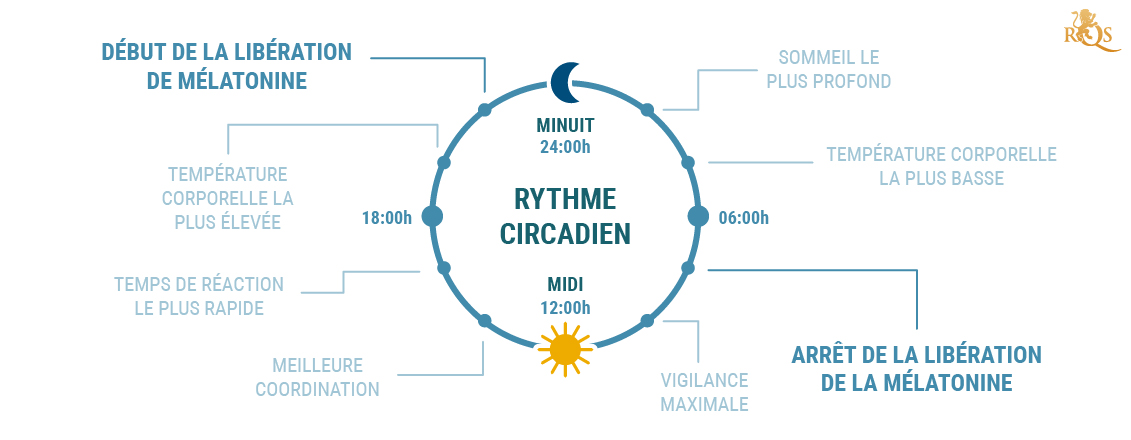 Qu’est-ce que le rythme circadien ?