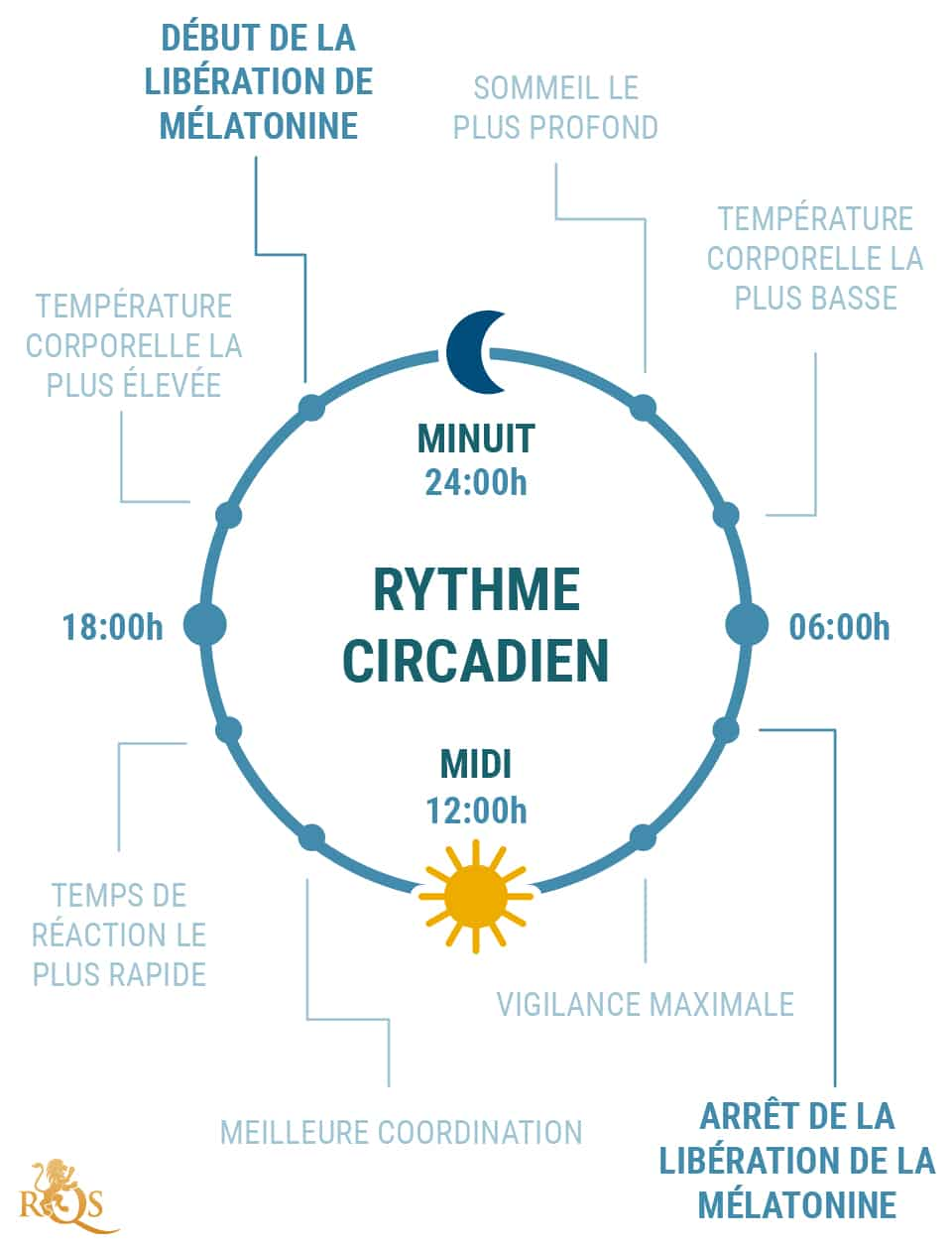 Qu’est-ce que le rythme circadien ?