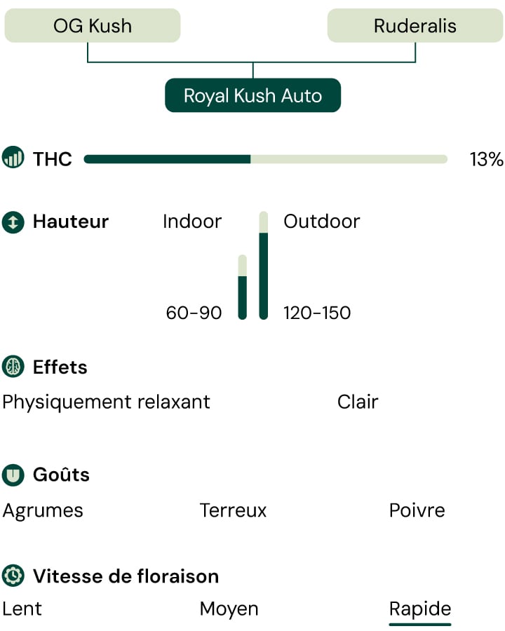 Royal Kush Auto Characteristics