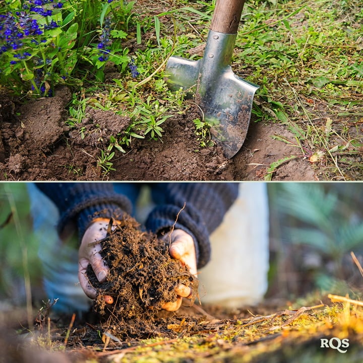 Comparaison des méthodes de jardinage : Image de gauche du jardinage intensif dans un setup structuré, image de droite du jardinage extensif en champ ouvert.