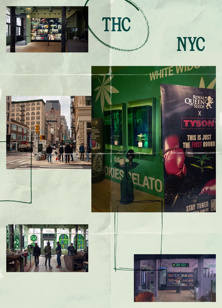 THC-NYC