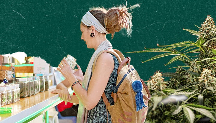 Collage d'une femme avec des dreadlocks tenant un bocal dans un dispensaire de cannabis. Fond vert foncé avec des plants de marijuana visibles à droite.