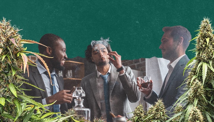 Trois hommes en costume se relaxent à l'intérieur, l'un d'eux fumant un joint. Ils sont entourés d'images de plants de cannabis.