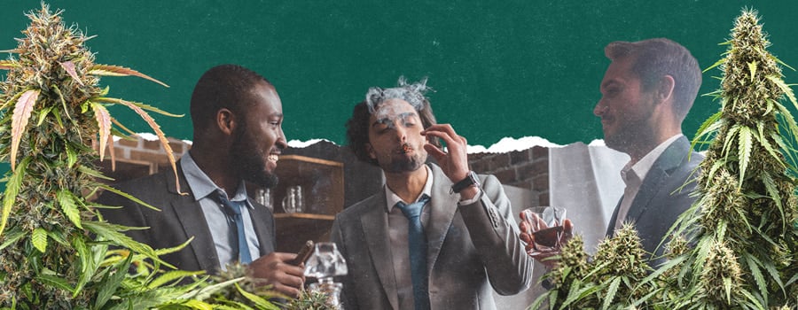 Trois hommes en costume se relaxent à l'intérieur, l'un d'eux fumant un joint. Ils sont entourés d'images de plants de cannabis.