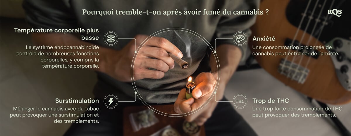 Un graphique détaillé présentant les effets secondaires potentiels de la consommation de cannabis. Des visuels informatifs expliquent comment des facteurs tels que les niveaux de THC, l’anxiété et la température corporelle contribuent à ces réactions physiques.