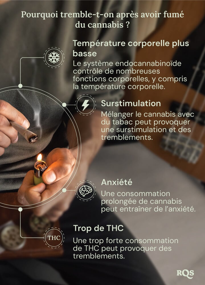 Un graphique détaillé présentant les effets secondaires potentiels de la consommation de cannabis. Des visuels informatifs expliquent comment des facteurs tels que les niveaux de THC, l’anxiété et la température corporelle contribuent à ces réactions physiques.