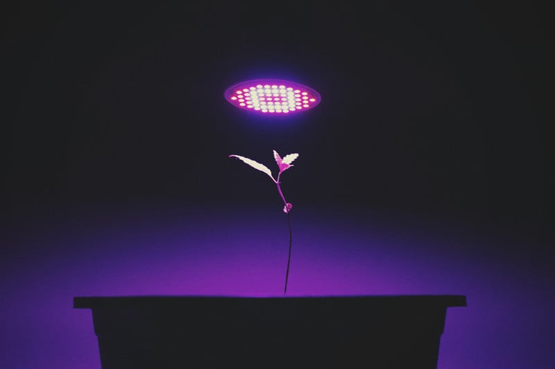 VEVOR Lampe Croissance Plante LED Panneau Quantum Horticole Spectre Complet  300W