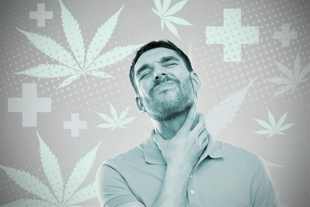 Manger Ou Fumer Du Cannabis : Quelle Est La Différence ? - RQS Blog
